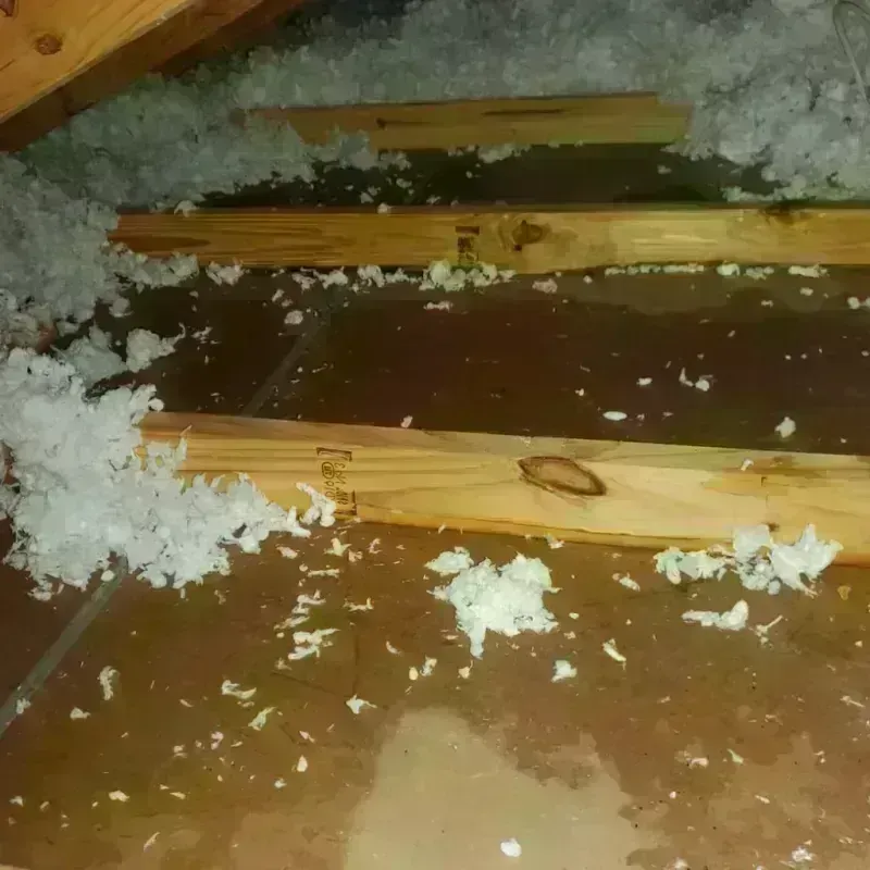 Attic Water Damage in Highland, IL