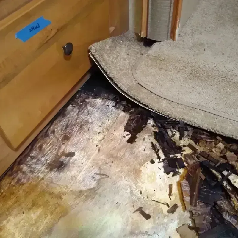 Best Wood Floor Water Damage Service in Highland, IL